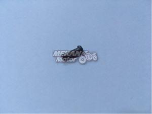 Picture of PIN FOR SPRING HOLDER OF GEARSHAFT MINSK