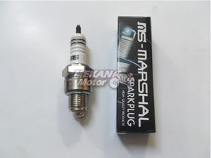 Picture of SPARKING PLUG MARSHAL MZ